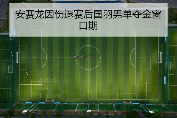 安赛龙因伤退赛后国羽男单夺金窗口期